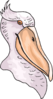 Pelican Head Clip Art